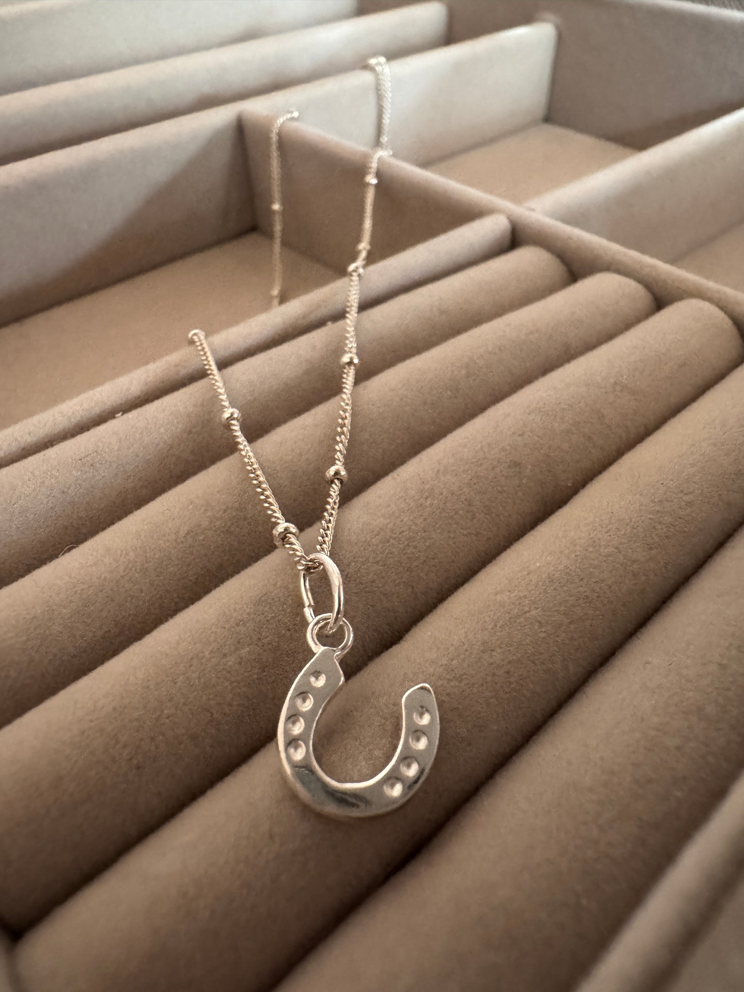 Horseshoe Necklace