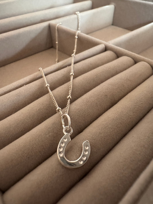 Horseshoe Necklace